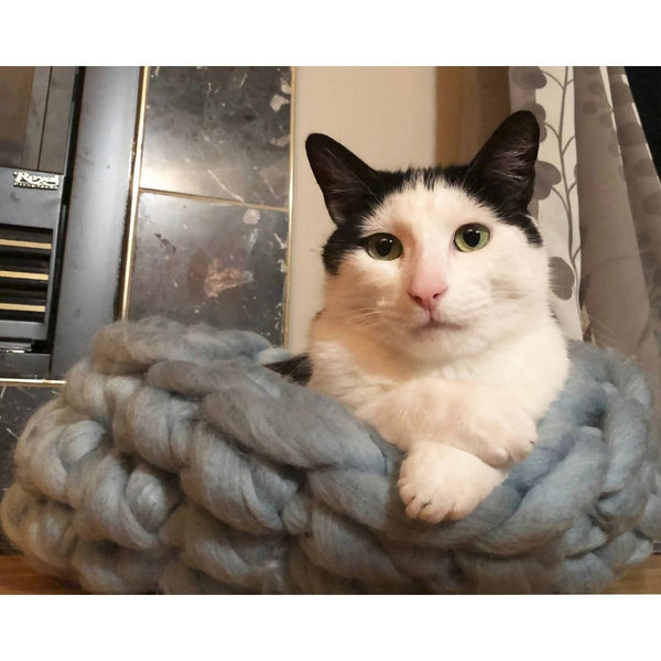 Chunky Yarn Pet Bed - Shop Motif