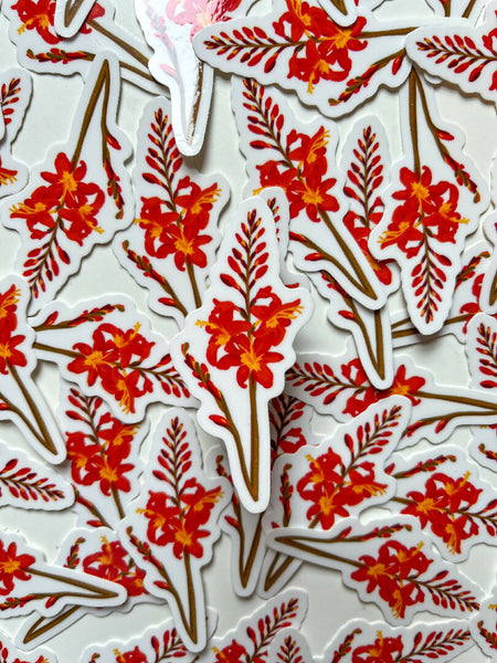 Red Lucifer Crocosmia - Spring Flower Sticker