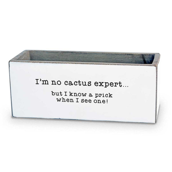 I'm No Cactus Expert Succulent Pot