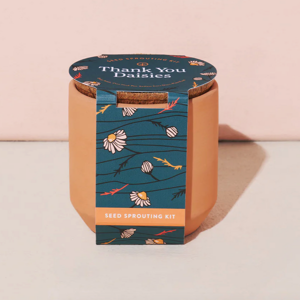 Tiny Terracotta Kit - Thank You Daisies