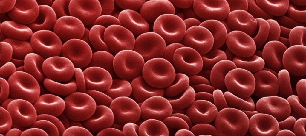 Fifty years ago, we discovered people whose blood didn't fit the accepted blood types. We just found out why