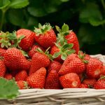 A tablespoon under each plant and you'll have a crop of giant strawberries: the perfect home fertilizer