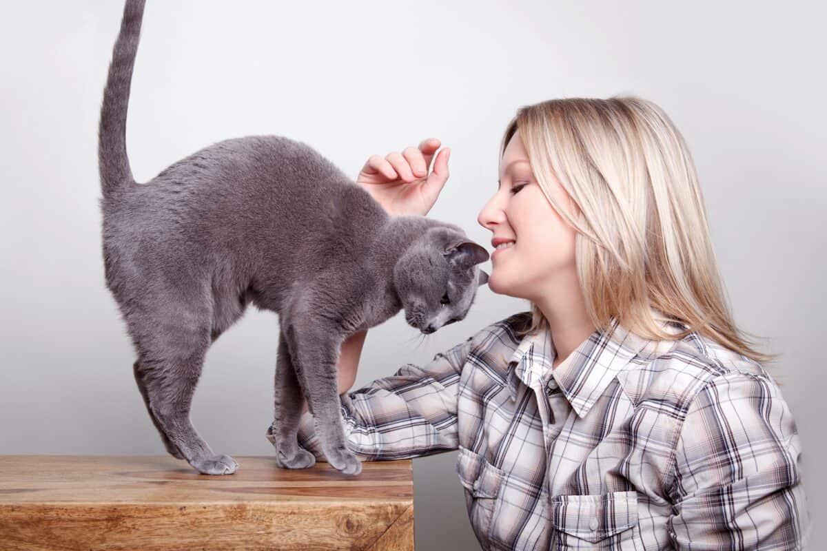 Does your cat rub against you? An expert provides a clear answer