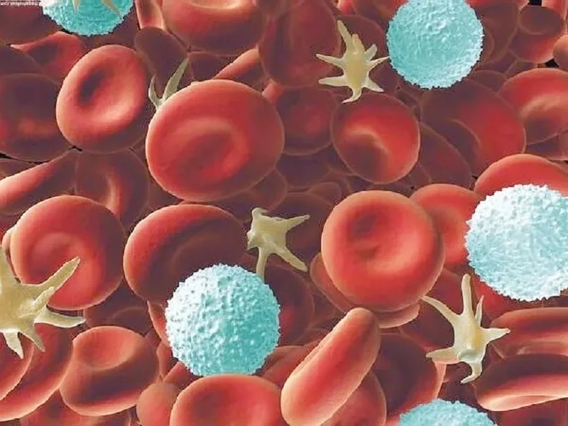 Fifty years ago, we discovered people whose blood didn't fit the accepted blood types. We just found out why