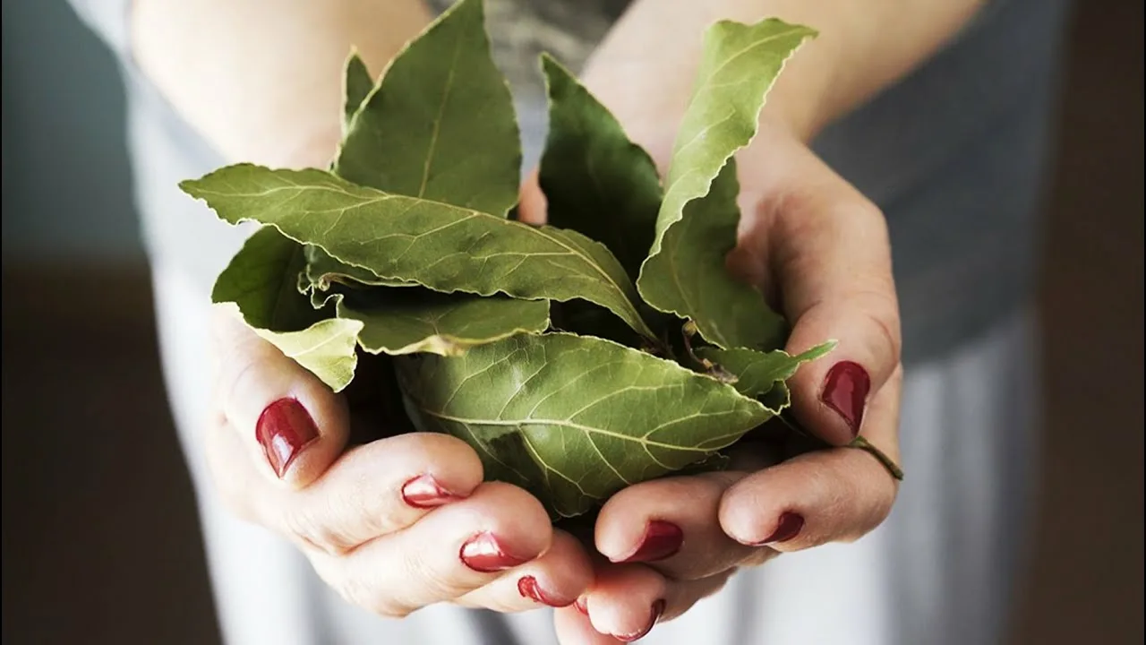 A culinary ingredient to put in your wallet to attract money and abundance, according to feng shui